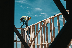 construction worker in hard hat on building frame